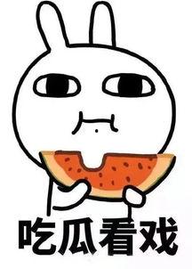 吃瓜群众看娱乐,吃瓜群众视角下的明星八卦